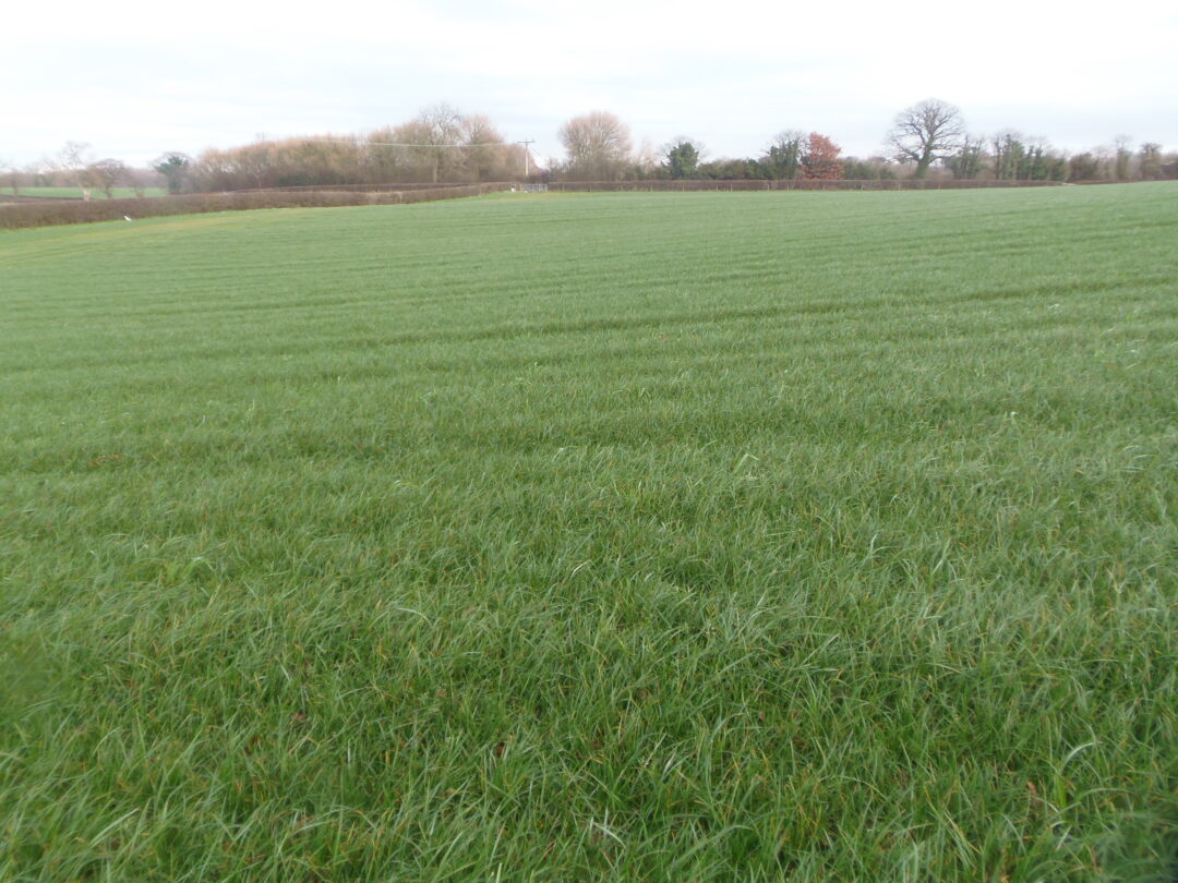 118.39 acres of a former golf course land Hinson Parry